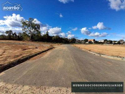 Terreno, 227 m² - Foto 5