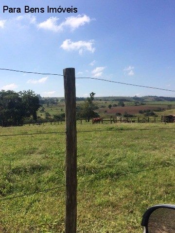 Chácara, 3 quartos - Foto 4