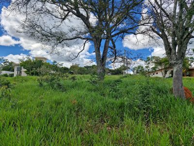Terreno, 1022 m² - Foto 4