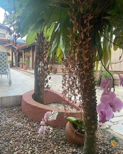 Casa, 4 quartos, 260 m² - Foto 2