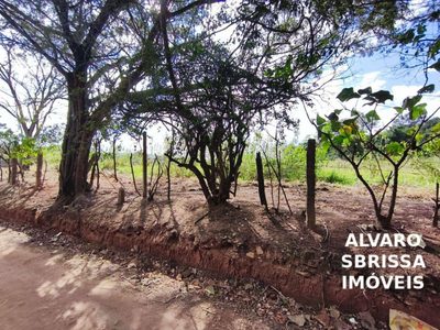Terreno, 2 hectares - Foto 4