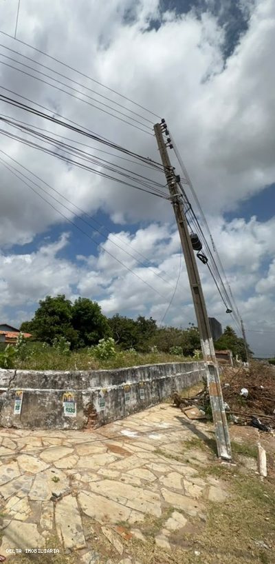 Terreno - Foto 5