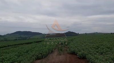Fazenda, 249 hectares - Foto 5