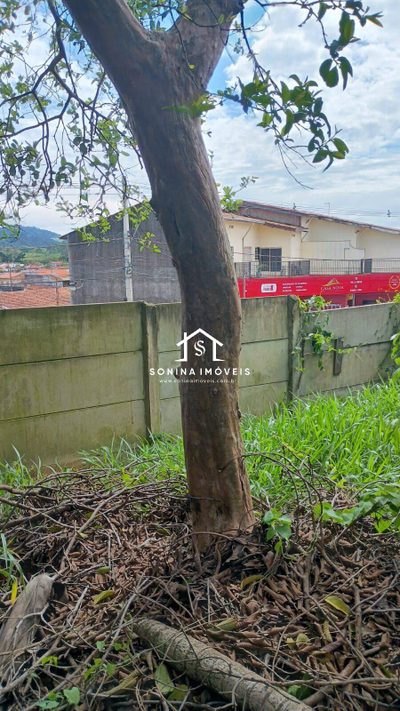 Terreno, 231 m² - Foto 2