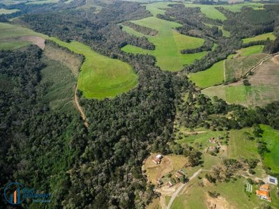 Terreno, 19 hectares - Foto 3