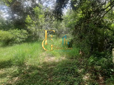 Terreno, 3460 m² - Foto 2
