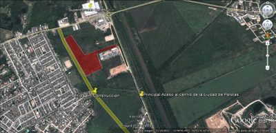 Terreno, 4 hectares - Foto 3