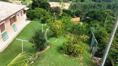 Terreno, 6 hectares - Foto 4