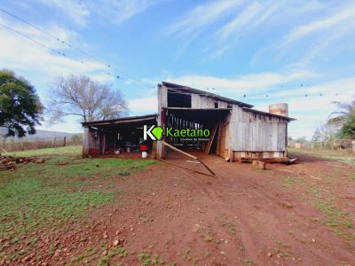 Chácara, 3 quartos, 10000 m² - Foto 4