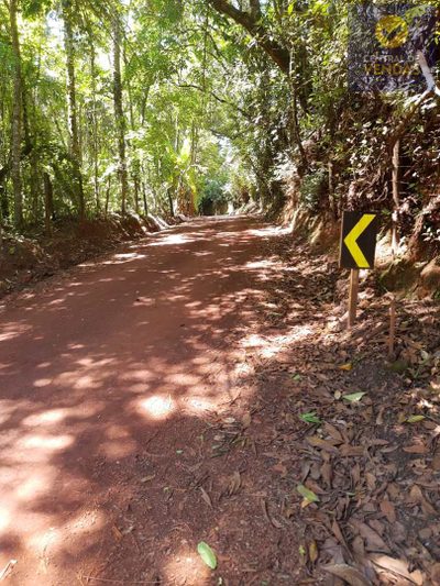 Terreno, 8 hectares - Foto 4