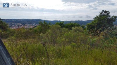 Terreno, 2 hectares - Foto 3