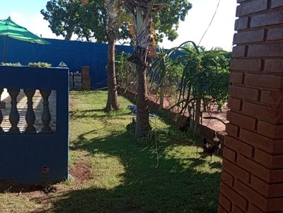 Sítio, 3 quartos, 1200 m² - Foto 3