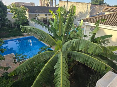 Sobrado, 4 quartos, 351 m² - Foto 1