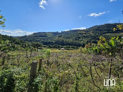 Sítio, 8900 m² - Foto 2