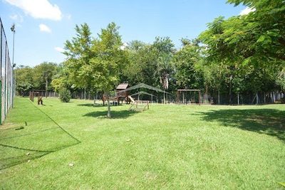 Apartamento, 3 quartos, 12 m² - Foto 2