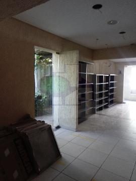 Casa, 3 quartos, 300 m² - Foto 5