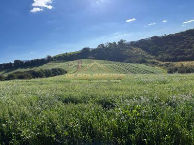 Fazenda, 104 m² - Foto 4