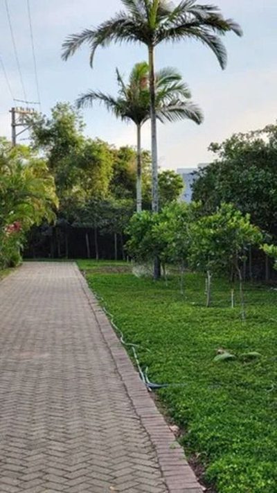 Loteamento e Condomínio, 311 m² - Foto 5