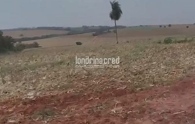 Terreno, 32 hectares - Foto 4