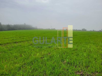 Fazenda, 392 hectares - Foto 4
