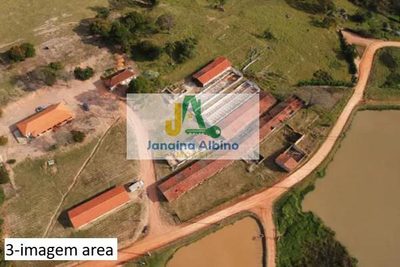 Sítio, 4 quartos, 2 hectares - Foto 3