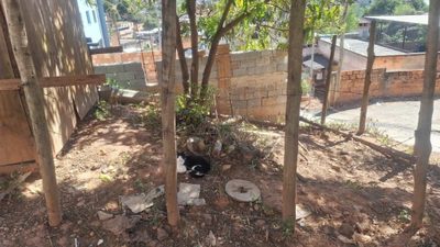 Terreno, 360 m² - Foto 5