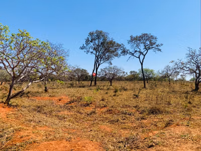 Fazenda - Foto 2