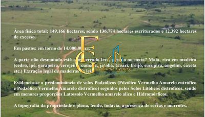 Terreno, 10 hectares - Foto 3
