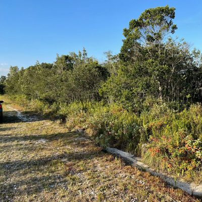 Terreno, 125 m² - Foto 4