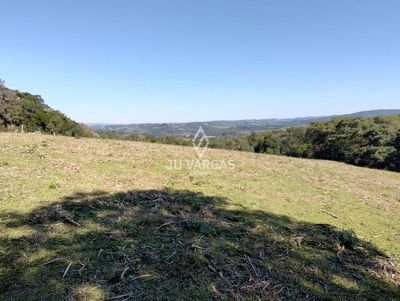 Sítio, 4 quartos - Foto 3