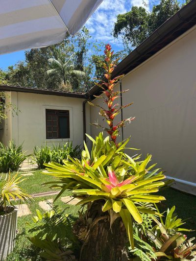 Casa, 5 quartos, 200 m² - Foto 3