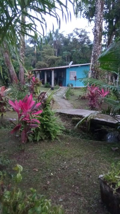 Fazenda, 5000 m² - Foto 3