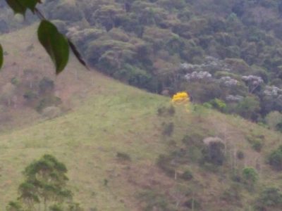 Fazenda, 600 m² - Foto 5