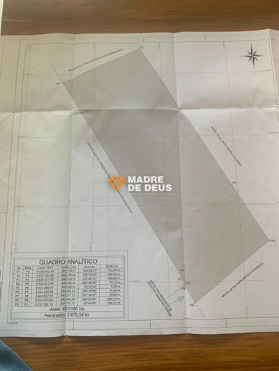 Terreno, 40 hectares - Foto 1