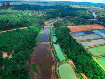 Fazenda - Foto 2