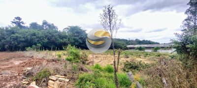 Terreno, 5030 m² - Foto 5