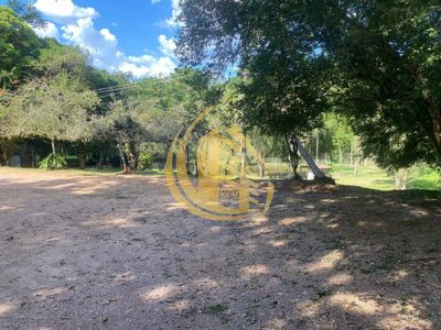 Terreno, 3 hectares - Foto 3