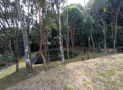 Chácara, 2 quartos, 2000 m² - Foto 4