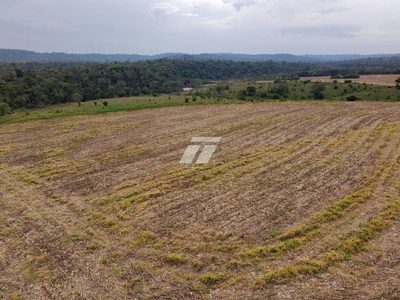 Sítio, 157 hectares - Foto 4
