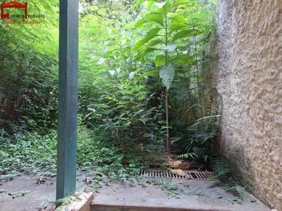 Sobrado, 3 quartos, 125 m² - Foto 2