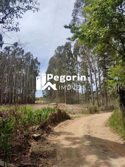 Chácara, 3 quartos - Foto 4