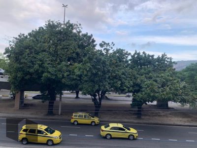 Apartamento, 3 quartos, 179 m² - Foto 3