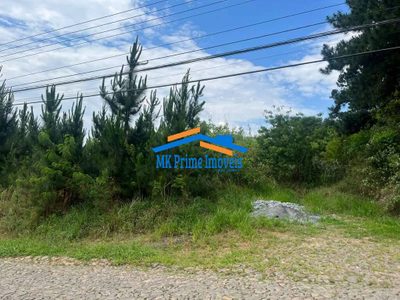 Terreno, 4973 m² - Foto 3