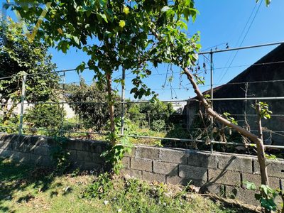 Terreno, 390 m² - Foto 3