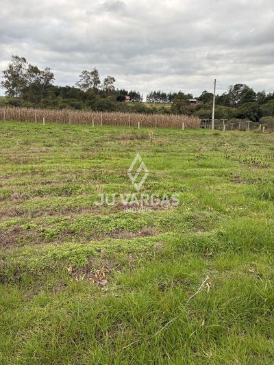 Sítio, 2 quartos, 2 hectares - Foto 2