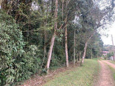 Terreno, 6 hectares - Foto 2