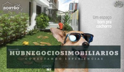 Casa, 7 quartos, 208 m² - Foto 4
