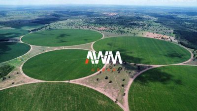 Fazenda, 5614 hectares - Foto 2