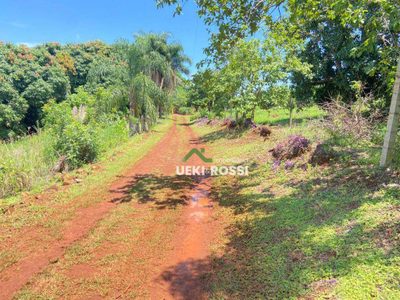 Sítio, 12 hectares - Foto 1