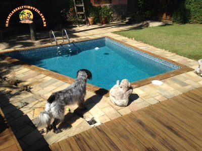 Casa, 4 quartos, 220 m² - Foto 4